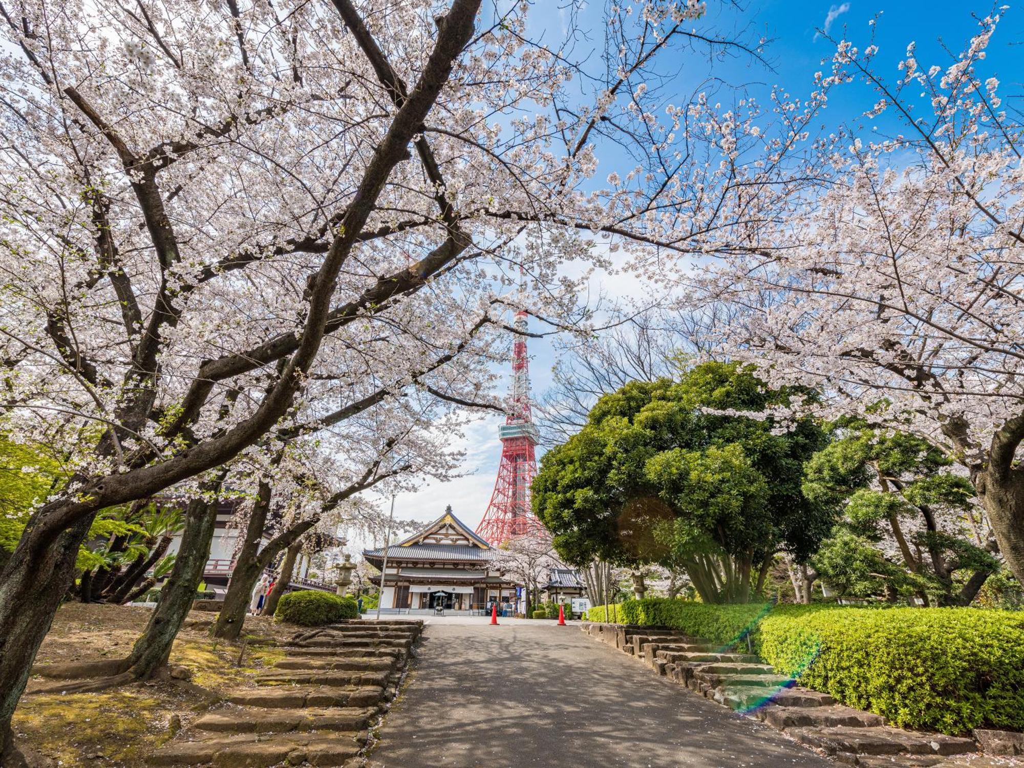 Illi Surp Shiba-Park Hotel Tokyo Eksteriør billede